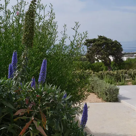 Вилла Nala With Sea Views And Private Pool Aspro Chorio